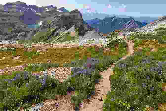 A Backpacker On A Trail In The Cascade Mountains With Volcanic Peaks In The Background Backpacking Washington: From Volcanic Peaks To Rainforest Valleys