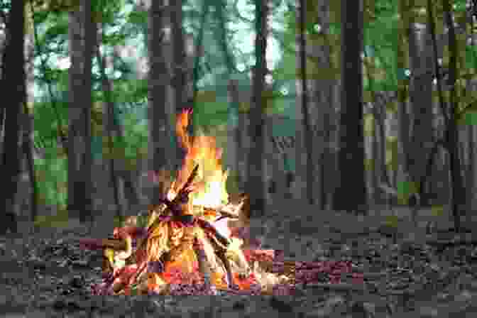 A Campfire Burning In A Forest Fire: A Brief History (Weyerhaeuser Environmental Books)