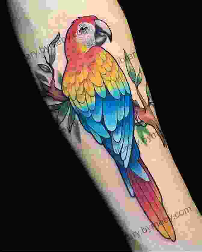 A Collection Of Stunning Parrot Tattoo Designs For Men, Featuring Vibrant Colors, Intricate Patterns, And Symbolic Meanings. Tattoo Inspiration Compendium: Parrot Tattoo Designs For Men