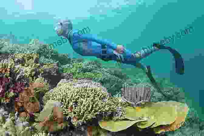 A Diver Swimming Alongside A Coral Reef Drifting Off Hawaii