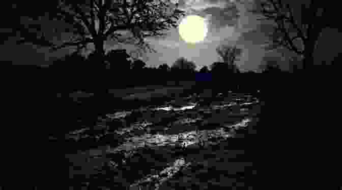 A Full Moon Hangs In The Night Sky, Casting An Eerie Glow On The Landscape Below. Looking At The Moon (Guests Of War 2)