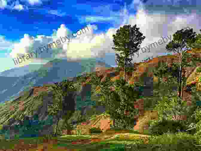 A Panoramic View Of The Haitian Countryside With The Mountains In The Distance, A Group Of People In The Foreground Are Working In The Fields, And The Haitian Flag Waving In The Wind. Sweet Taste Of Liberty: A True Story Of Slavery And Restitution In America