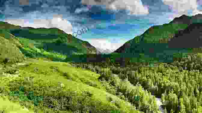 A Panoramic View Of The Lush Forests Of Atheria, With Mountains In The Distance Demon Academy Vol 2