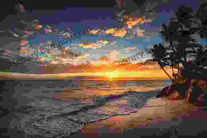 A Picturesque Sunset Over A Golden Sand Beach, With Palm Trees Swaying Gently The Value Of Hawai I: Knowing The Past Shaping The Future (Biography Monographs)