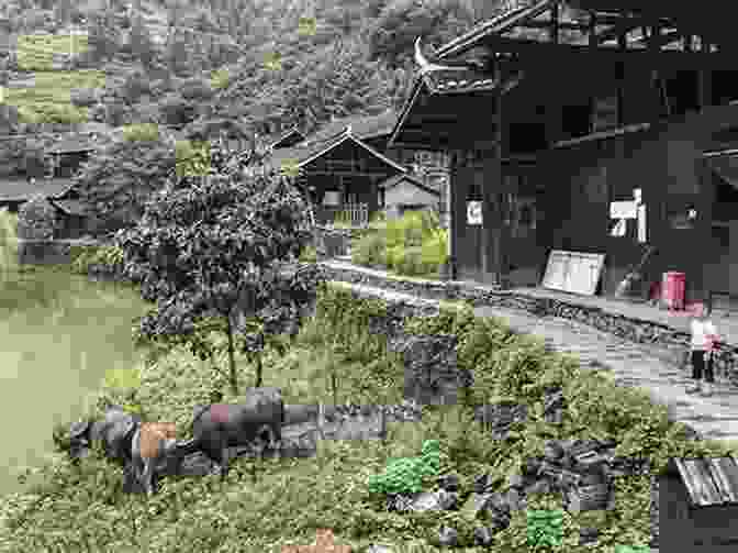 A Rural Village In China, Showcasing Traditional Architecture And Harmonious Living Barbarian Lost: Travels In The New China