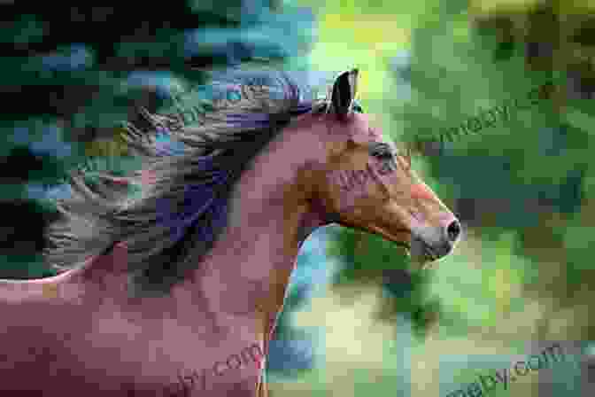 A Stunning Close Up Portrait Of A Horse With A Flowing Mane And Piercing眼神. The Wild Rose: Stories Of My Horses