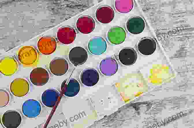 A Vibrant Watercolor Palette With A Variety Of Colors As A Newbie Learn Watercolor Painting Process