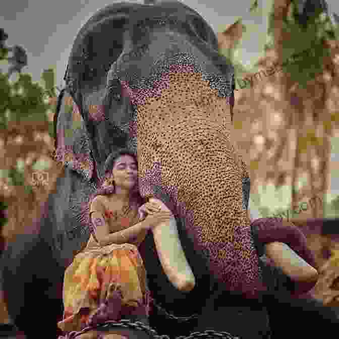 A Woman Standing In A Kitchen With An Elephant An Elephant In My Kitchen: What The Herd Taught Me About Love Courage And Survival (Elephant Whisperer 2)