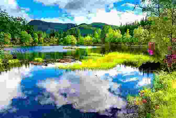 An Idyllic Scene Of Green Lake Surrounded By Lush Greenery, Reflecting The Blue Sky And Clouds The Pleasures Of Green Lake