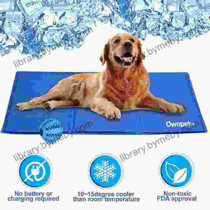 Cooling Dog Bed With A Self Cooling Gel Insert Large Dog Beds: Smart Shopping Tips For Choosing Large Dog Beds