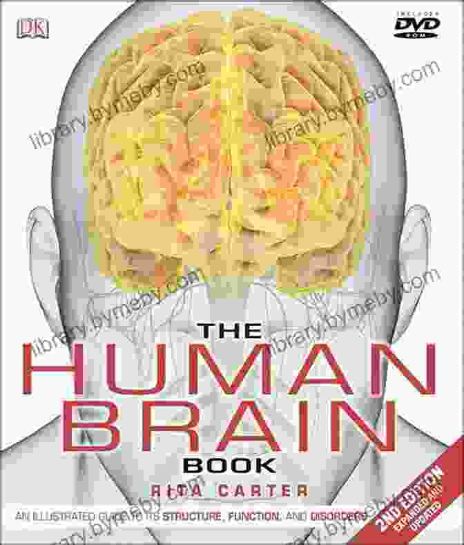 Cover Of The Secret Life Of The Brain Book Featuring A Colorful Illustration Of A Human Brain On A White Background How Emotions Are Made: The Secret Life Of The Brain