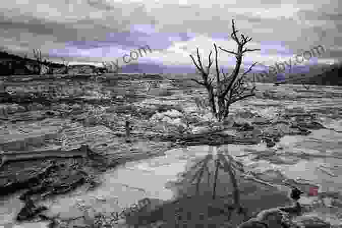 Desolate Landscape From 'The Informant Butcher Boy' The Informant (Butcher S Boy 3)