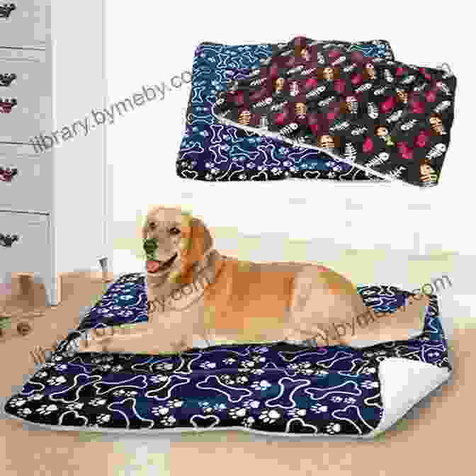 Dog Bed With A Removable And Washable Cover Large Dog Beds: Smart Shopping Tips For Choosing Large Dog Beds