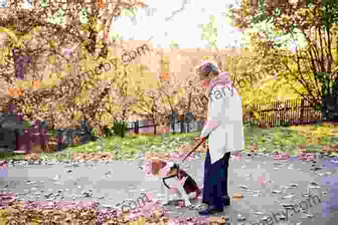 Elderly Woman And Dog Walking Together In Park, Laughing A Pet For Petunia Paul Schmid