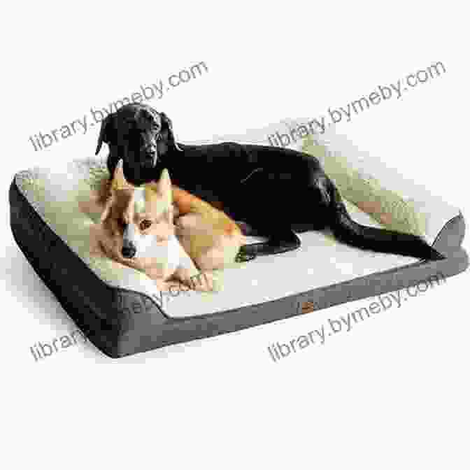 Memory Foam Dog Bed With A Removable Cover Large Dog Beds: Smart Shopping Tips For Choosing Large Dog Beds