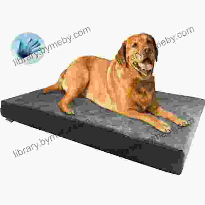 Orthopedic Dog Bed With Memory Foam Large Dog Beds: Smart Shopping Tips For Choosing Large Dog Beds