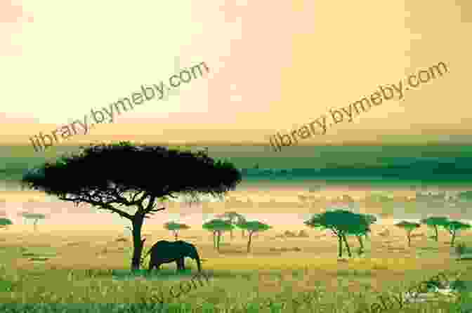 Panoramic View Of African Wildlife Grazing On The Savanna It All Started In Africa