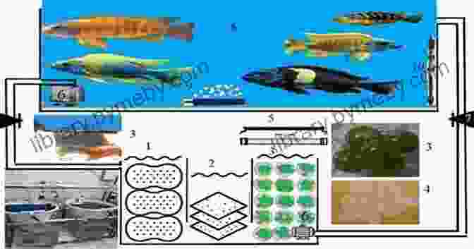 Scientific Research And Advancements In Cichlid Aquaculture Techniques Cichlids: Make Money Raising And Selling