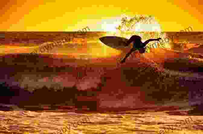 Surfer Catching A Wave At Sunset In Baja The Surfer S Guide To Baja