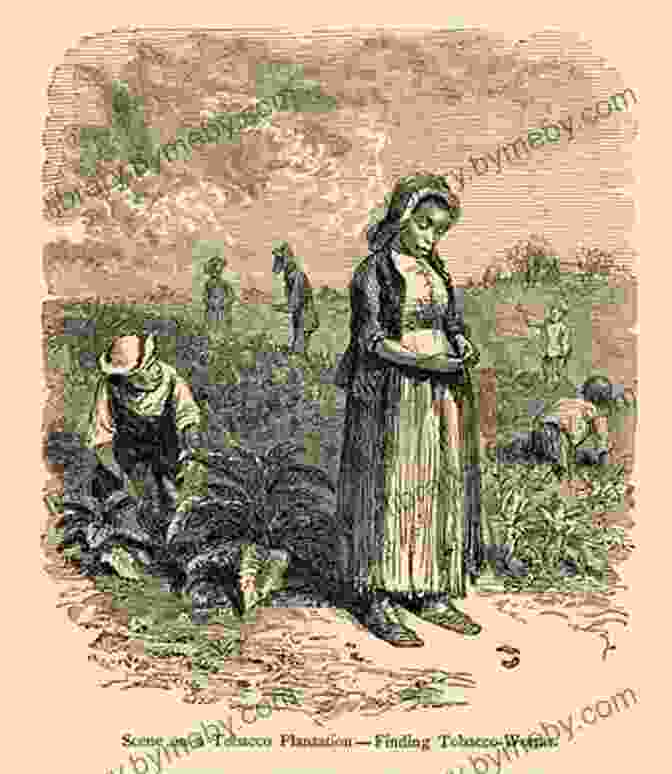 Tobacco Plantation Along The Potomac River In The 18th Century The C O Canal Companion: A Journey Through Potomac History