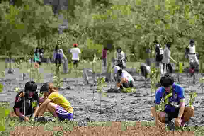 Tree People Team Culturedabba's Legacy Of Reforestation And Environmental Conservation Tree People Team CultureDabba