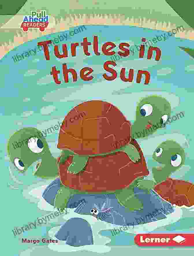 Turtles In The Sun Book Cover Turtles In The Sun (Let S Look At Weather (Pull Ahead Readers Fiction))