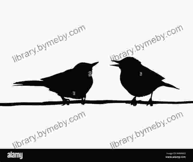 Two Birds Sitting On A Branch, Looking Up At The Sky The Someday Birds Sally J Pla