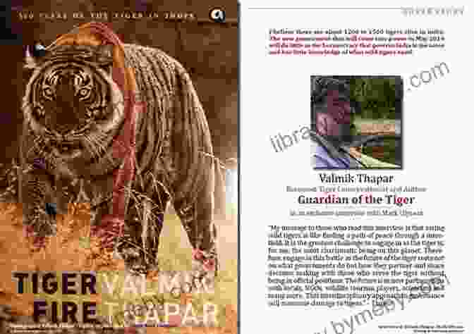 Valmik Thapar, A Renowned Wildlife Conservationist And Tiger Expert, Stands In The Midst Of A Tiger Habitat, His Passion For These Majestic Creatures Evident In His Eyes. Living With Tigers Valmik Thapar