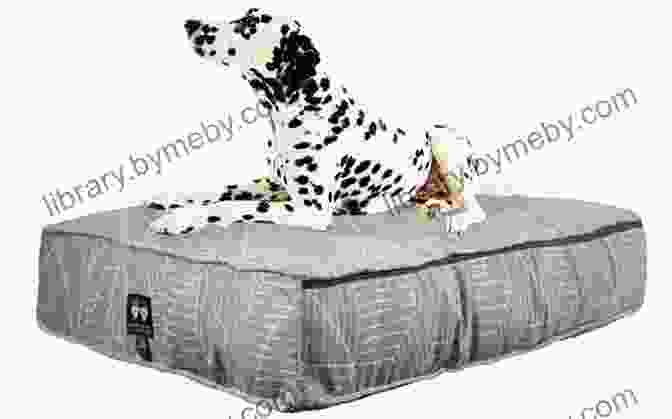 Waterproof Dog Bed With A Durable Nylon Cover Large Dog Beds: Smart Shopping Tips For Choosing Large Dog Beds