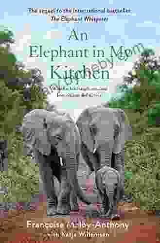 An Elephant in My Kitchen: What the Herd Taught Me About Love Courage and Survival (Elephant Whisperer 2)