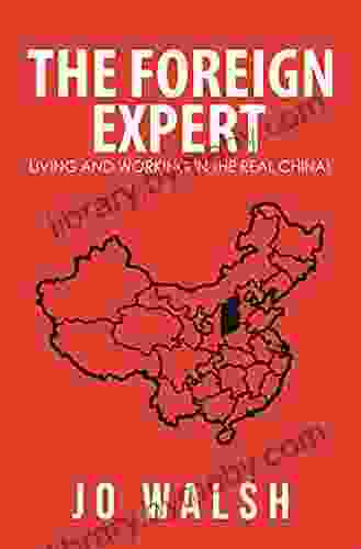 The Foreign Expert: Living And Working In The Real China