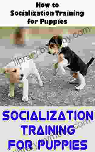 Socialization Training For Puppies: How to Socialization Training for Puppies