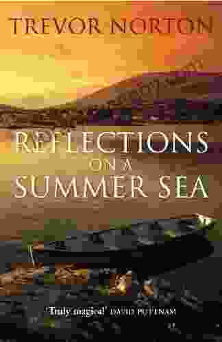 Reflections On A Summer Sea