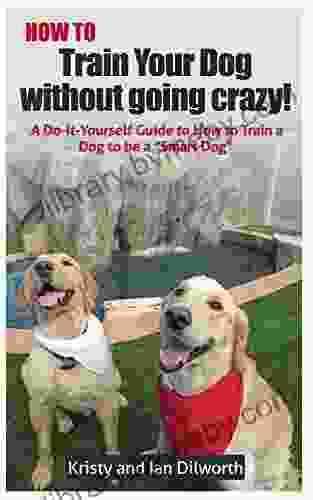 How to Train Your Dog Without Going Crazy : A Do It Yourself Guide to How to Train Your Dog to Be a Smart Dog