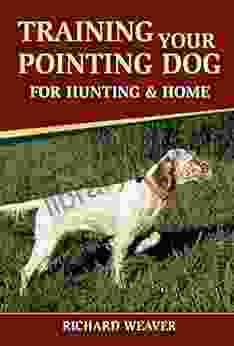 Training Your Pointing Dog for Hunting Home