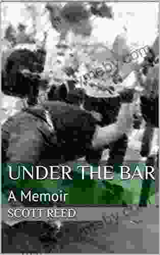 Under the Bar: A Memoir