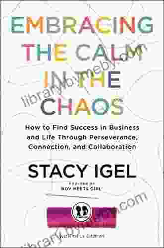 Embracing The Calm In The Chaos: How To Find Success In Business And Life Through Perseverance Connection And Collaboration