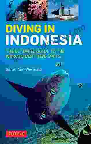 Diving In Indonesia: The Ultimate Guide To The World S Best Dive Spots: Bali Komodo Sulawesi Papua And More